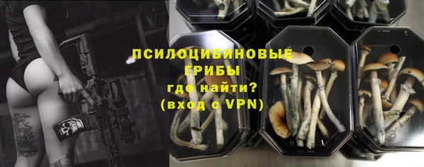 стафф Инсар