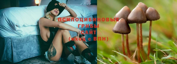 прущий лед Инта