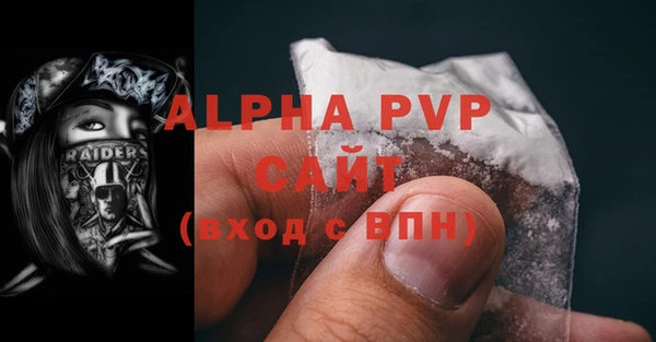 стафф Инсар