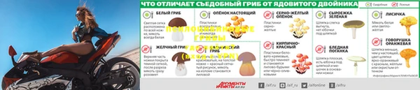 стафф Инсар