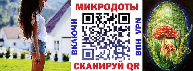 Галлюциногенные грибы Cubensis Ростов